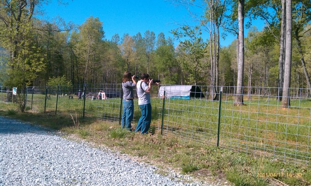           The boys taking action shots of animals at one farm